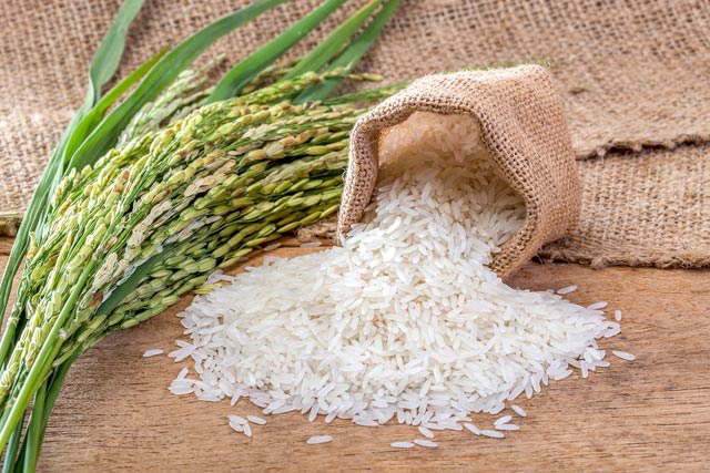 Gạo Bắc Thơm - Gạo Gia Phú - Công Ty TNHH Nông Sản Gia Phú